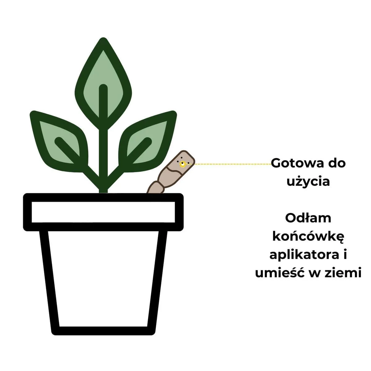 roślina do sypialni