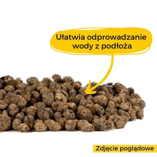 ziemia do strelicji