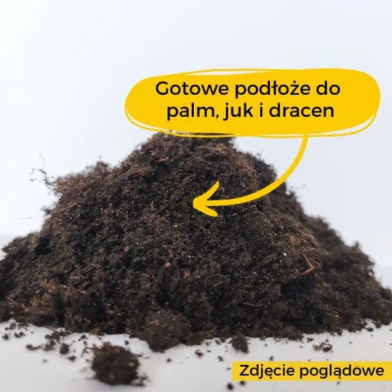 ziemia do strelicji