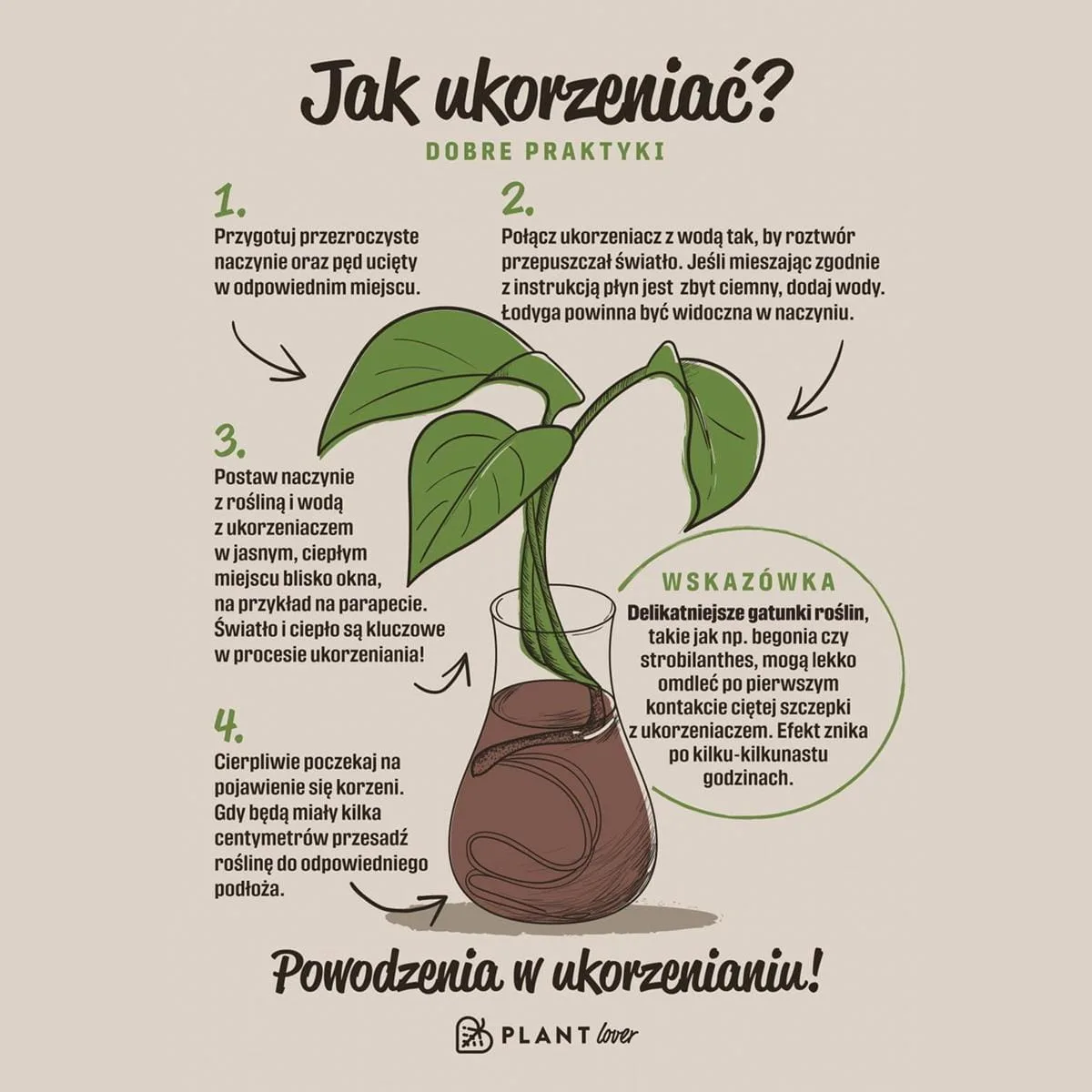 ziemia do strelicji