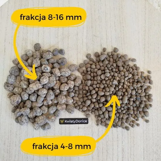 ziemia do strelicji