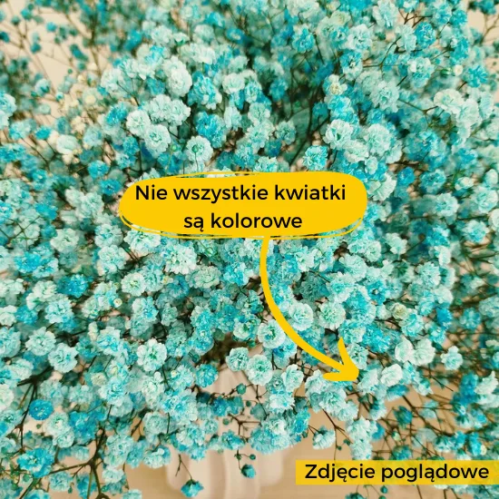 warto wiedziec