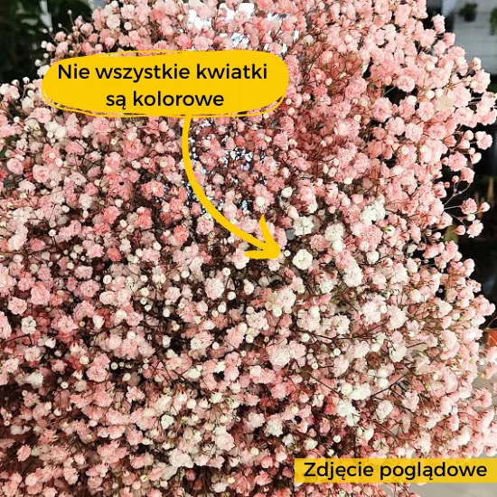 warto wiedziec