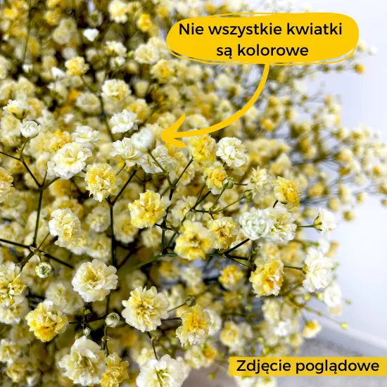 warto wiedziec