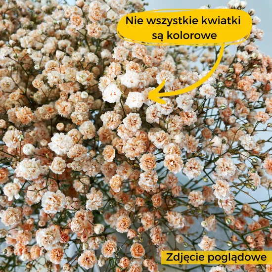 warto wiedziec