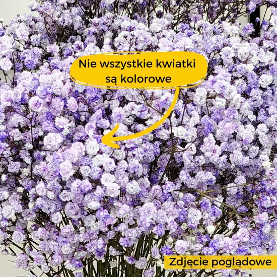 warto wiedziec