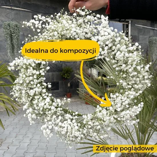 warto wiedziec