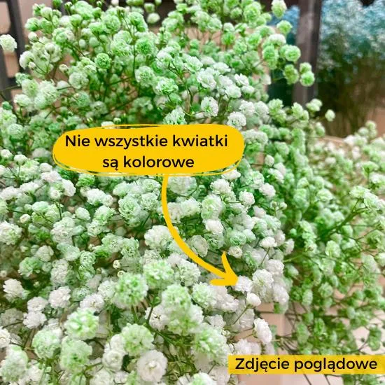 warto wiedziec