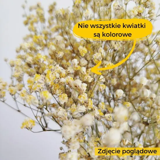 warto wiedziec