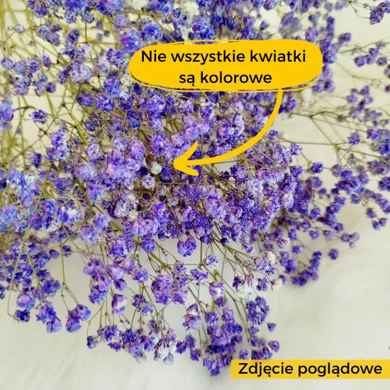 warto wiedziec