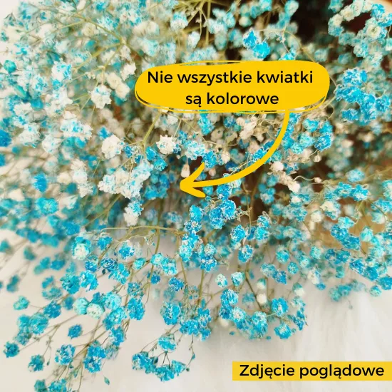 warto wiedziec