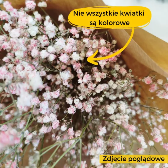warto wiedziec