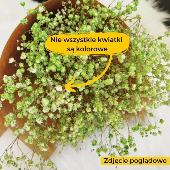warto wiedziec